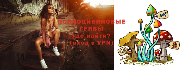 соль ск Нея