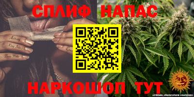 ECSTASY Бузулук