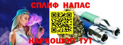 МДПВ Краснознаменск