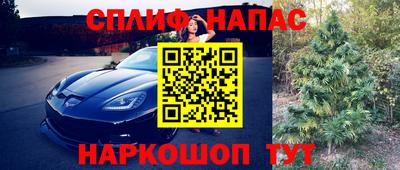 МДПВ Краснознаменск