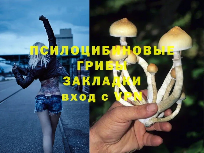 Псилоцибиновые грибы MAGIC MUSHROOMS  Алапаевск 