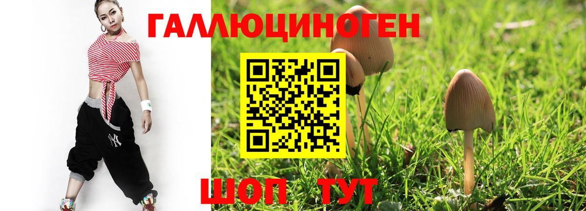 Алапаевск  продажа наркотиков  Вход с VPN  Псилоцибиновые грибы мухоморы 
