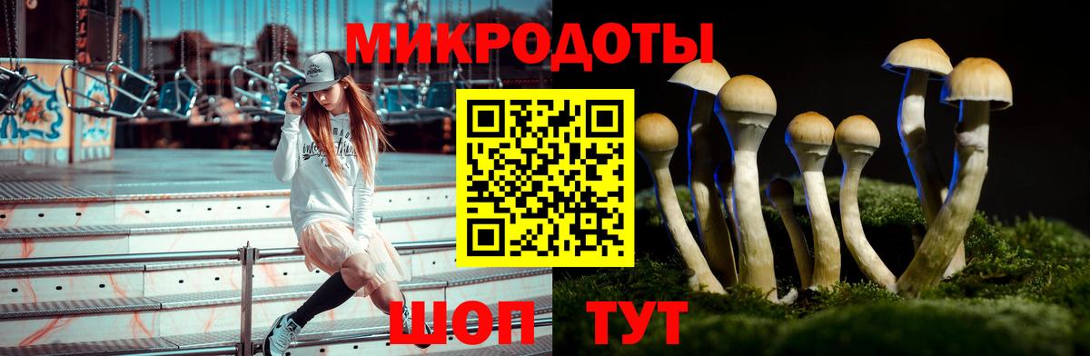 Псилоцибиновые грибы мухоморы Алапаевск