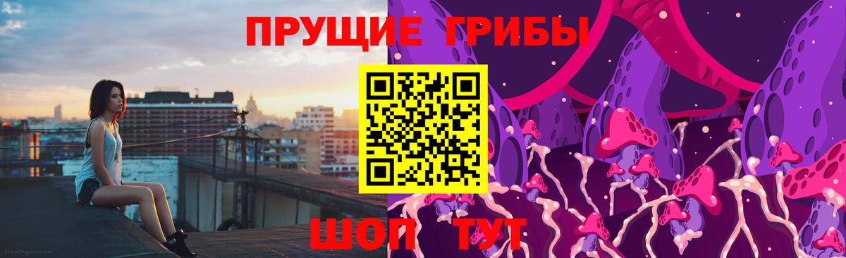 Псилоцибиновые грибы Psilocybine cubensis  Алапаевск  Галлюциногенные грибы мухоморы 